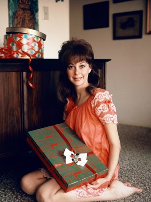 Lorrie Menconi