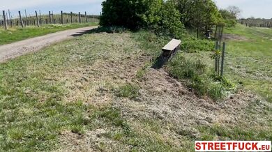 Picnic sex with Stacy Cruz