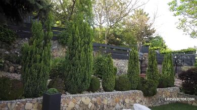 Garden anal sex with Alexa Flexy