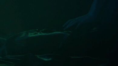 Molly Little As Calypso