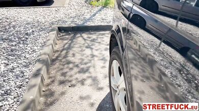 Picnic sex with Stacy Cruz