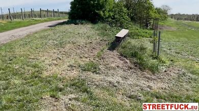 Picnic sex with Stacy Cruz